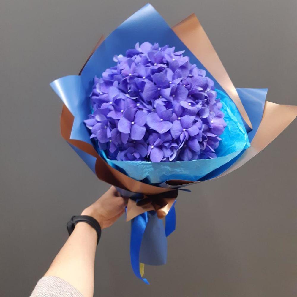 Гортензия синяя в дизайнерской упаковке 
