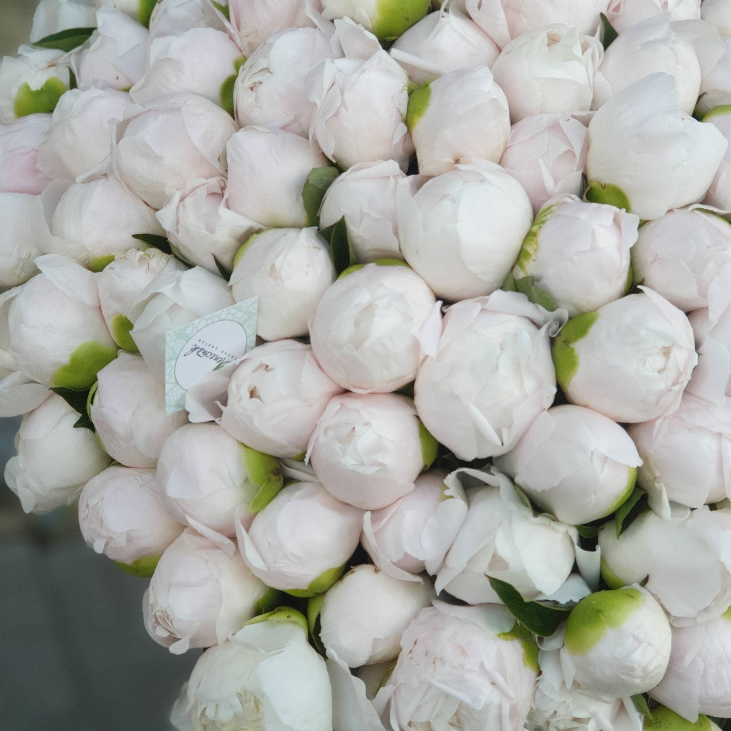 1dbf5e63-c11c-4a28-92e8-31402b739e36