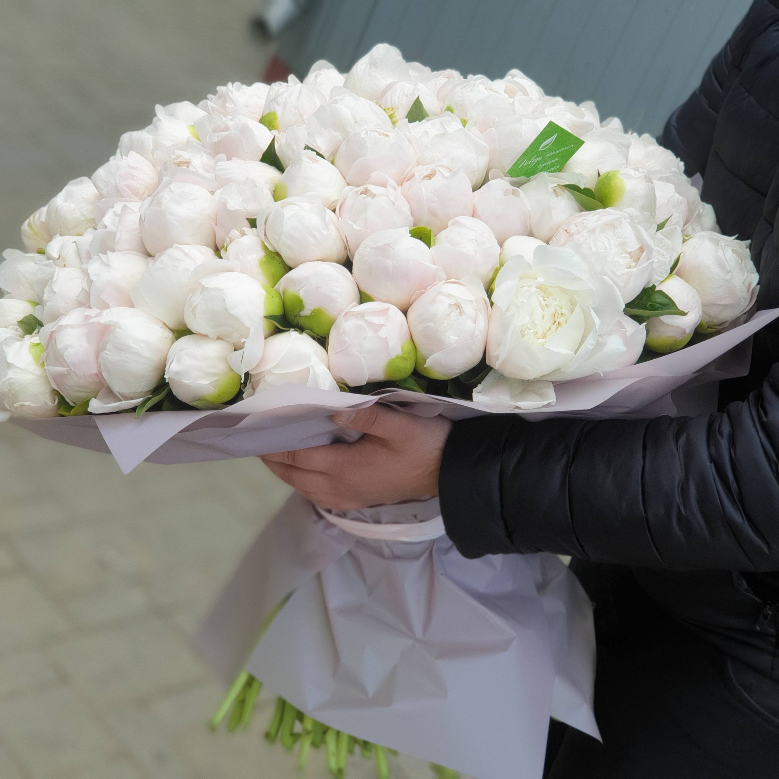 2e403311-67c5-41f8-9b5f-b948935fcd53